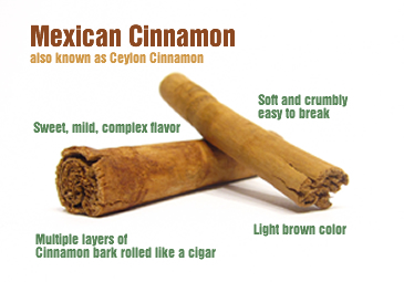 Mexican Cinnamon
